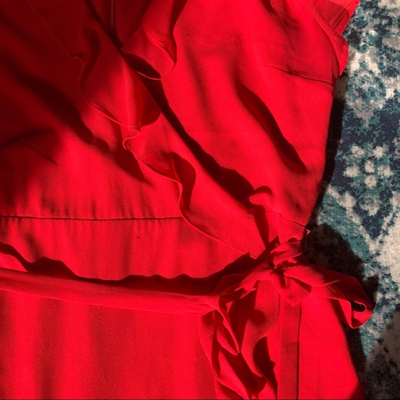 Naked Zebra Ruffle Sleeve Wrap Dress - Picture 7 of 9